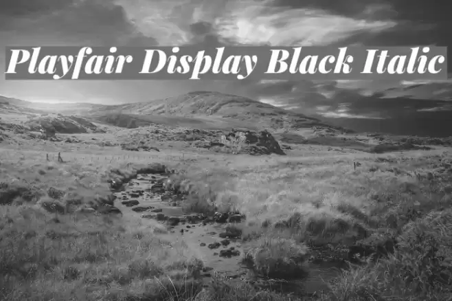 Playfair Display Black Italic Font examples