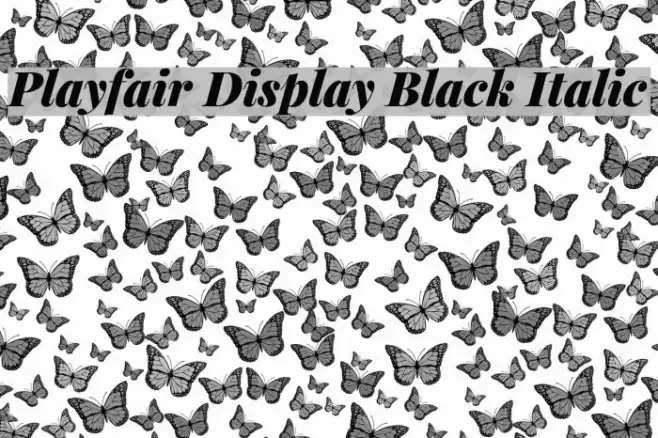 Playfair Display Black Italic Font examples