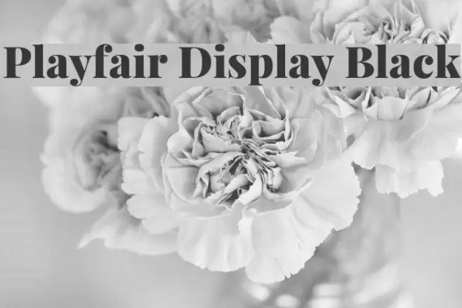 Playfair Display Black examples