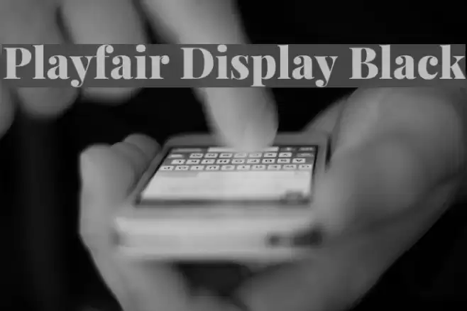 Playfair Display Black examples