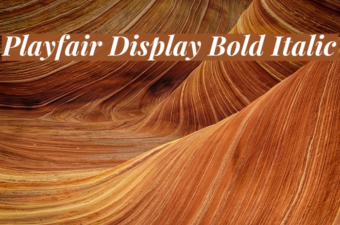 Playfair Display Bold Italic Font examples