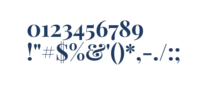 Playfair Display Bold1 Other Characters