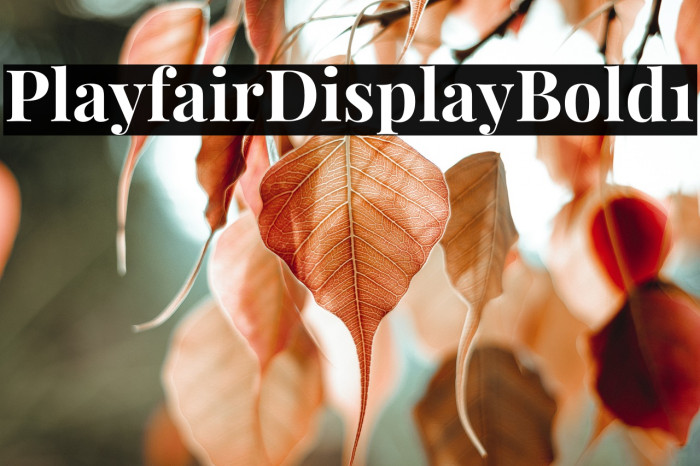 Playfair Display Bold1 Example 1