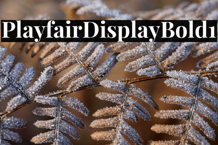 Playfair Display Bold1 Example 2