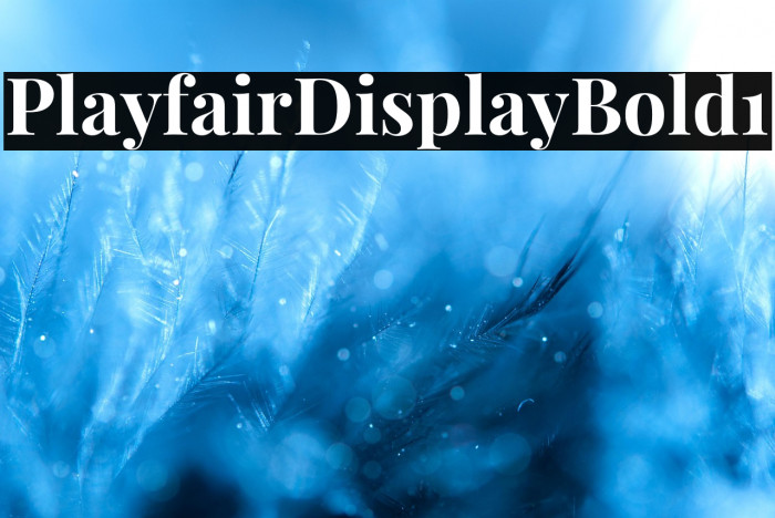 Playfair Display Bold1 Example 3