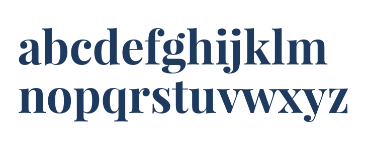 Playfair Display Bold1 Lowercase