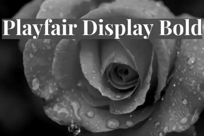 Playfair Display Bold Font examples