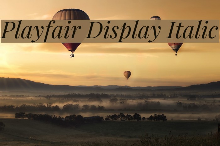 Playfair Display Italic フォント examples