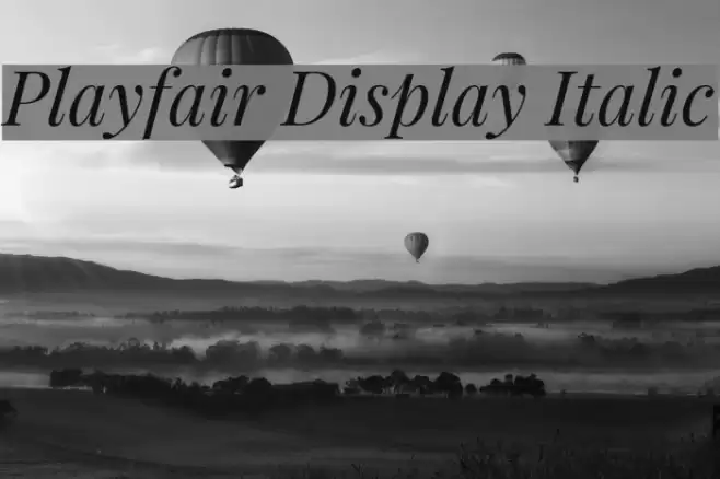 Playfair Display Italic examples