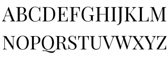 Playfair Display Regular フォント 大文字