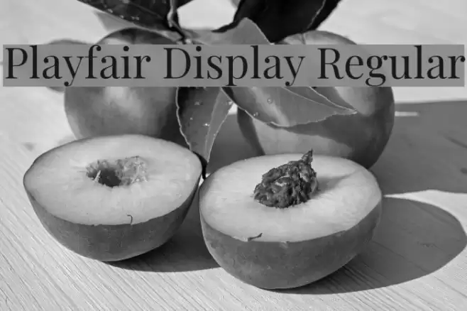 Playfair Display Regular Font examples