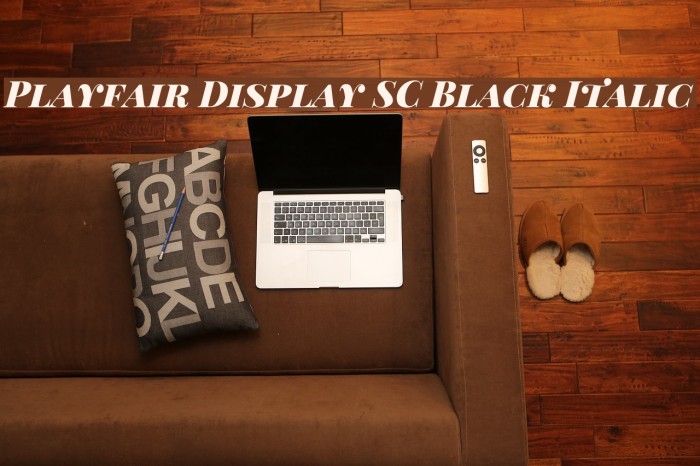 Playfair Display SC Black Italic フォント examples