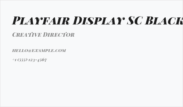 Playfair Display SC Black Italic Business Card