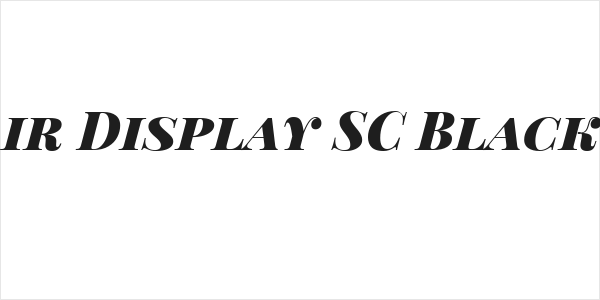 Playfair Display SC Black Italic Logo