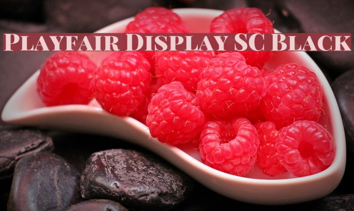 Playfair Display SC Black フォント examples