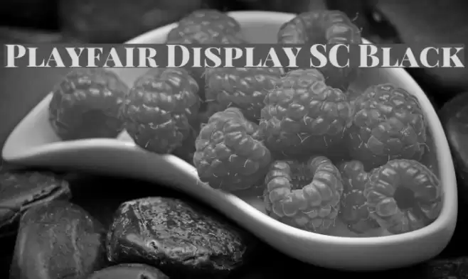 Playfair Display SC Black Font examples
