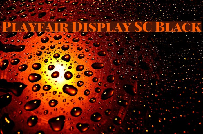 Playfair Display SC Black フォント examples