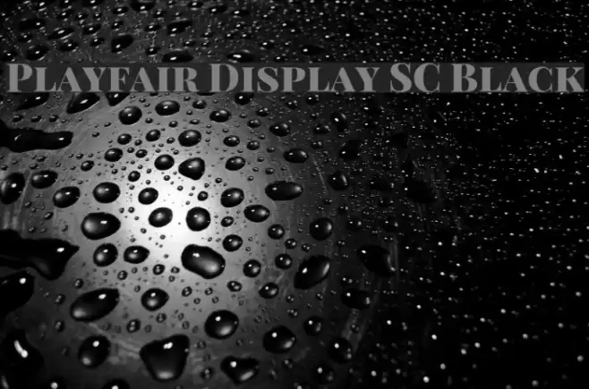 Playfair Display SC Black Font examples