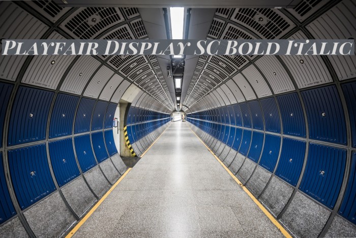 Playfair Display SC Bold Italic フォント examples