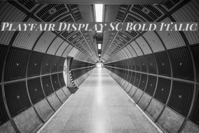 Playfair Display SC Bold Italic フォント examples