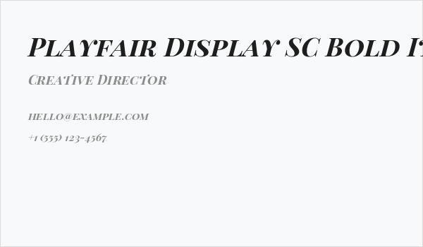 Playfair Display SC Bold Italic Business Card
