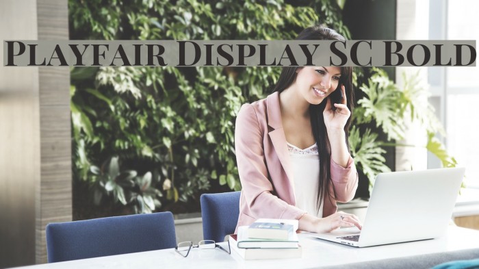 Playfair Display SC Bold フォント examples