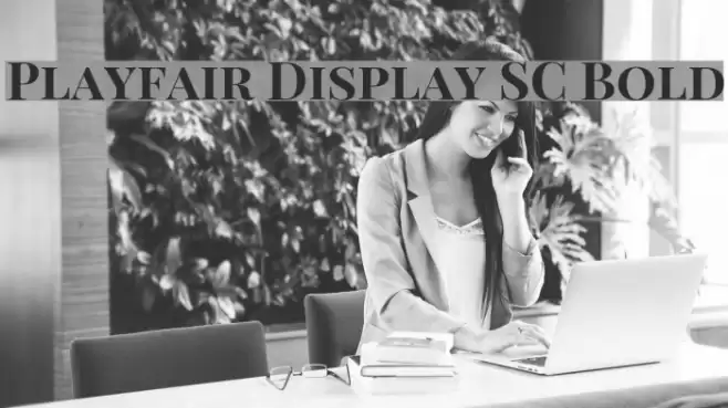 Playfair Display SC Bold フォント examples