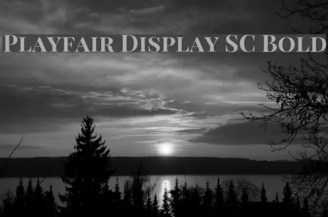 Playfair Display SC Bold フォント examples