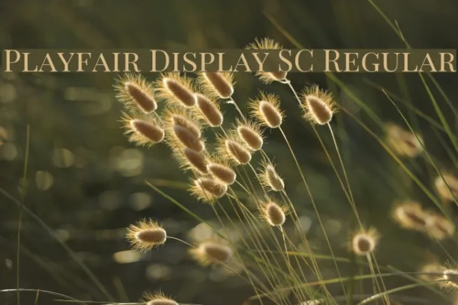 Playfair Display SC Regular Example 3