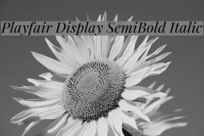 Playfair Display SemiBold Italic Font examples