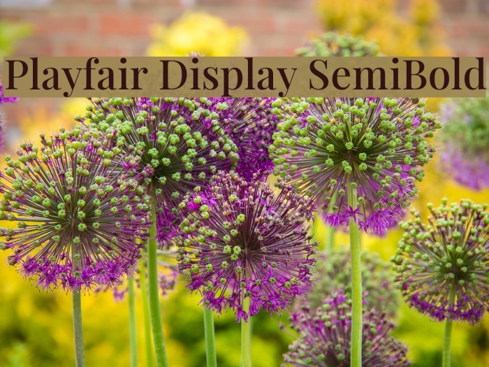 Playfair Display SemiBold Polices examples