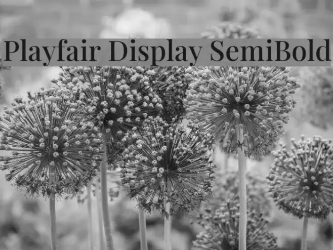 Playfair Display SemiBold Polices examples