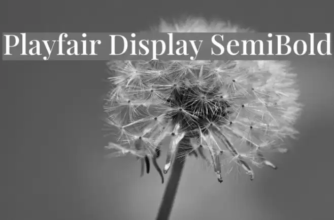 Playfair Display SemiBold Polices examples