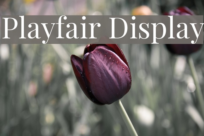 Playfair Display Font examples