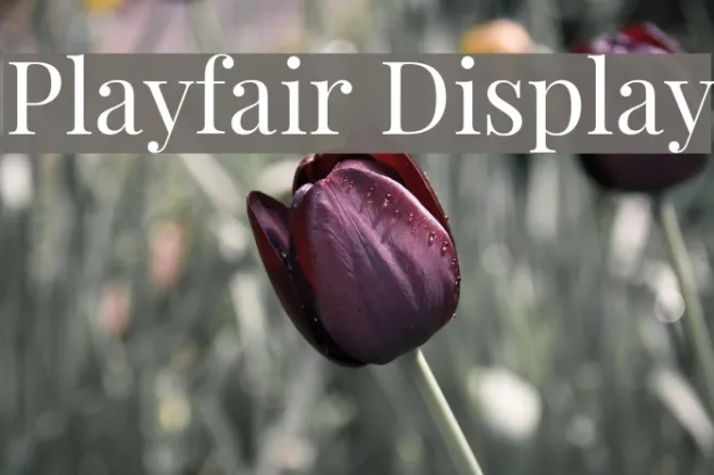 Playfair Display Example 3