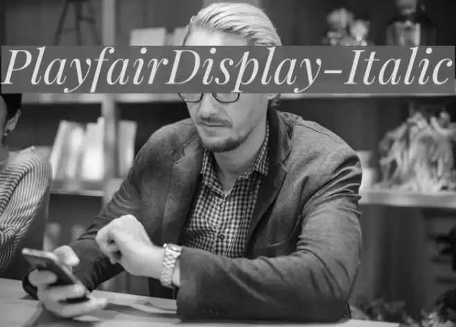 PlayfairDisplay-Italic Fonte examples