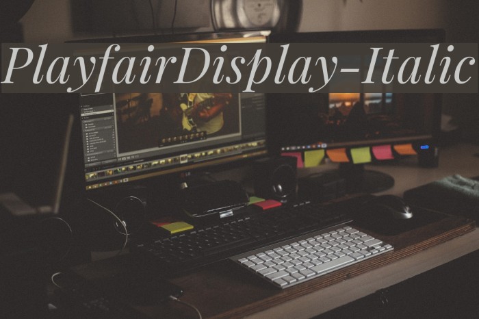 PlayfairDisplay-Italic Font examples