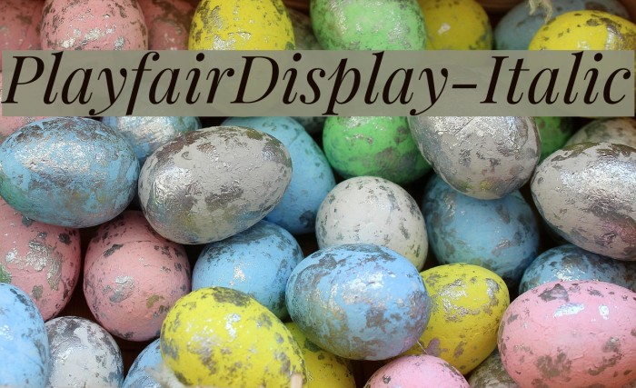 PlayfairDisplay-Italic Font examples