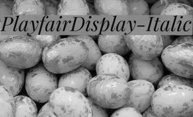 PlayfairDisplay-Italic Fonte examples