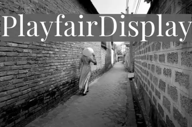 PlayfairDisplay Font examples