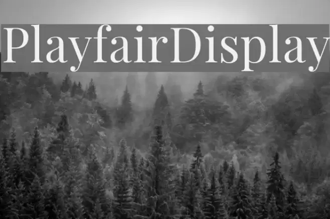 PlayfairDisplay Font examples