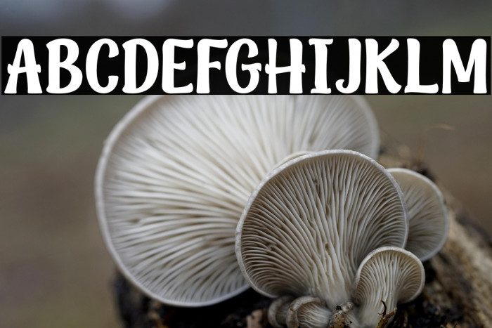 Playful Christmas-Personal Use  Example 2