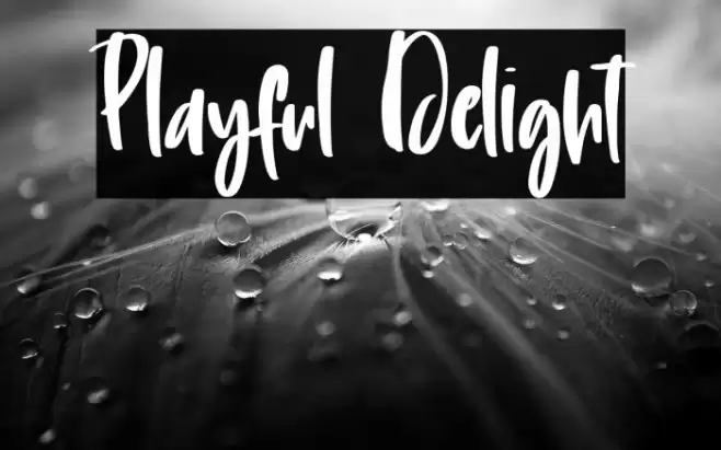 Playful Delight Font examples