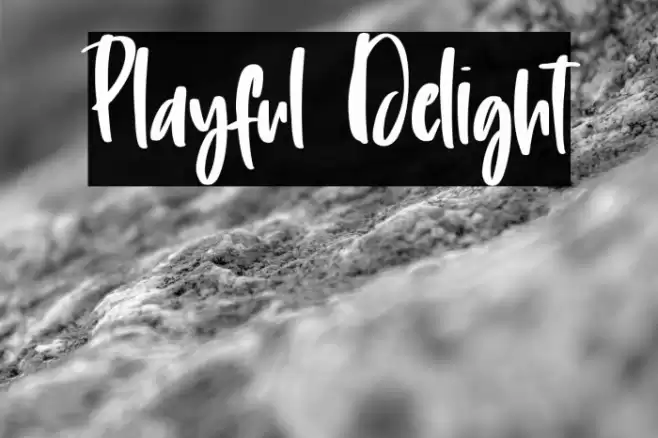 Playful Delight Font examples