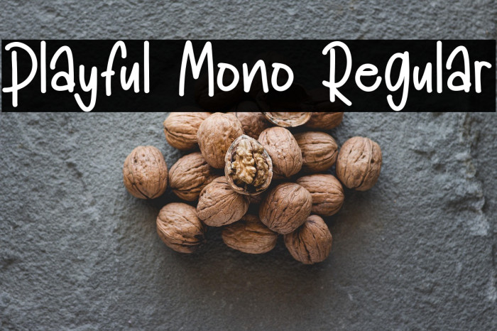 Playful Mono Regular Example 1