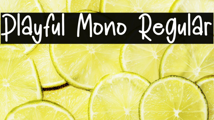 Playful Mono Regular Example 2