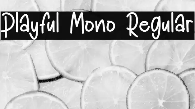 Playful Mono Regular Font examples