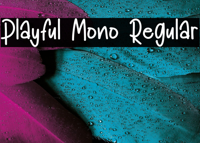 Playful Mono Regular Example 3