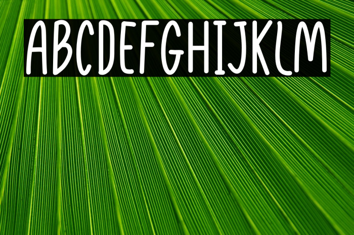 Playful Pen Regular Example 2