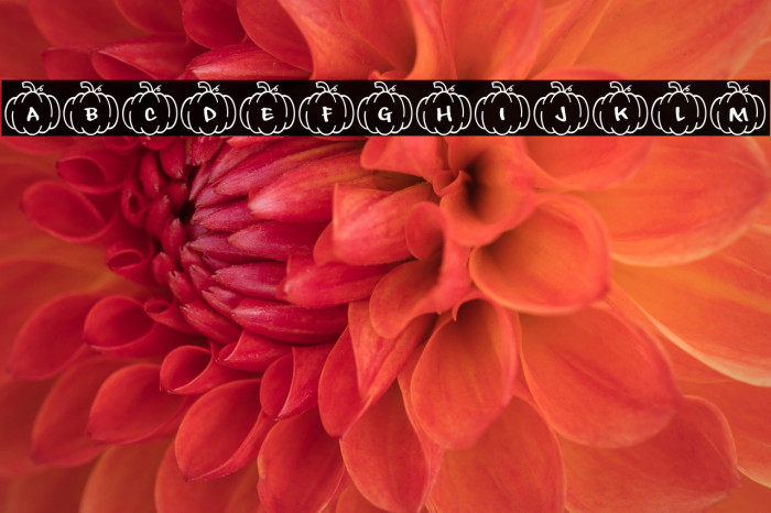 Playful*Pumpkins Example 1